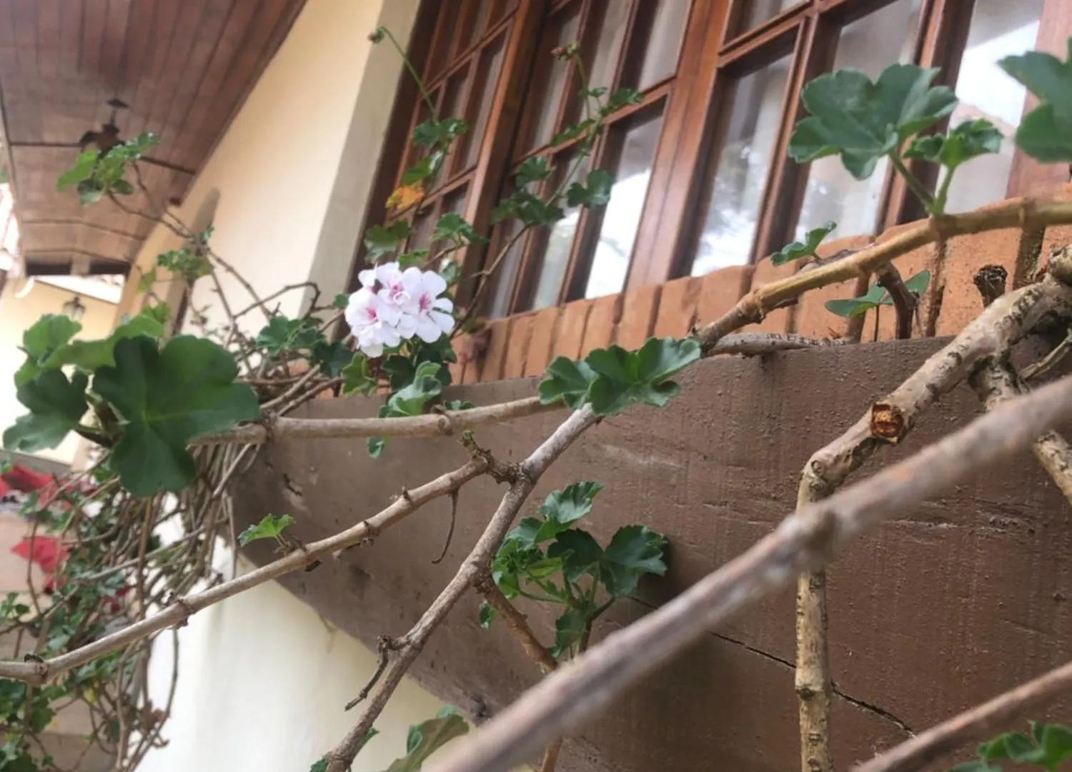 Apartmán La Casa Da Fotografia Campos do Jordão 0*,  Brazílie